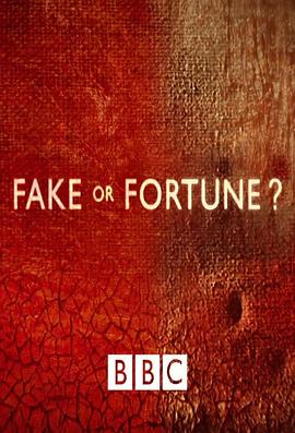 探索，艺术纪录片《赝品或珍品？ 第一季 Fake or Fortune? Season 1》下载-零三纪录片资源网