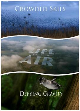 空中生灵 Life in the Air的海报
