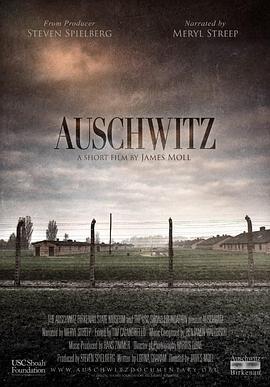 历史纪录片《奥斯维辛集中营 Auschwitz》下载-零三纪录片资源网