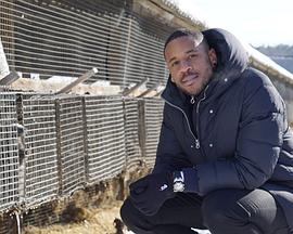 社会生活纪录片《揭秘亿万富豪的衣橱 Inside the Billionaire's Wardrobe》下载-零三纪录片资源网