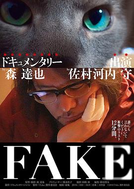 FAKE的海报