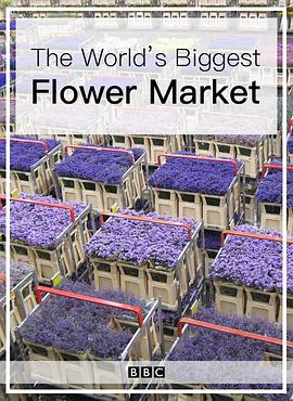 社会生活纪录片《世界上最大的鲜花市场 The World's Biggest Flower Market》下载-零三纪录片资源网