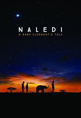 自然纪录片《纳勒迪：一只小象的故事 Naledi: A Baby Elephant's Tale》下载-零三纪录片资源网