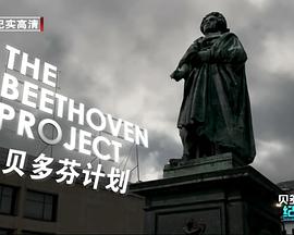 艺术纪录片《贝多芬计划 THE BEETHOVEN PROJECT》下载-零三纪录片资源网