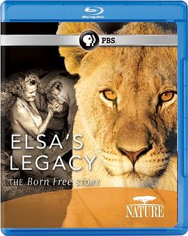 自然纪录片《PBS：自然 – 艾尔莎的遗产：生而自由的故事 Elsa's Legacy: The Born Free Story》下载-零三纪录片资源网