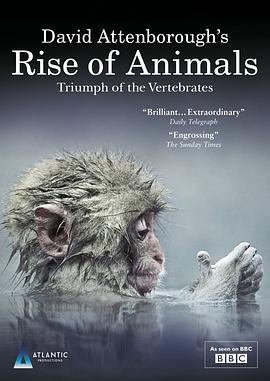 自然纪录片《动物的崛起：脊椎动物的胜利 David Attenborough's Rise of Animals: Triumph of the Vertebrates》下载-零三纪录片资源网