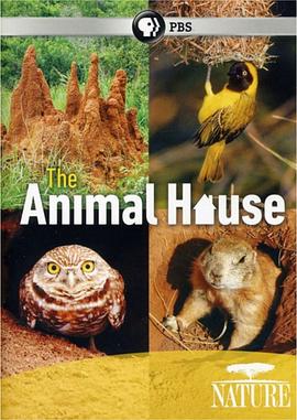 自然世界:动物之家 The Natural World: Animal House的海报