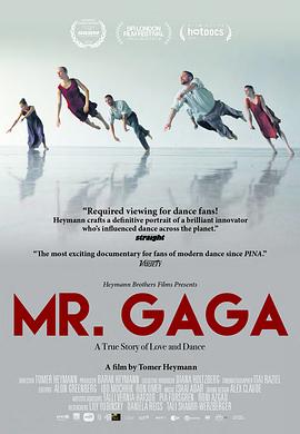 艺术纪录片《嘎嘎先生 מיסטר גאגא》下载-零三纪录片资源网