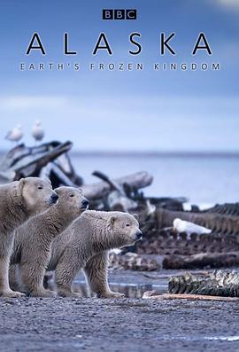自然纪录片《阿拉斯加：地球上的冰冻王国 Alaska: Earth's Frozen Kingdom》下载-零三纪录片资源网