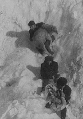 人文地理纪录片《四季 Времена года》下载-零三纪录片资源网