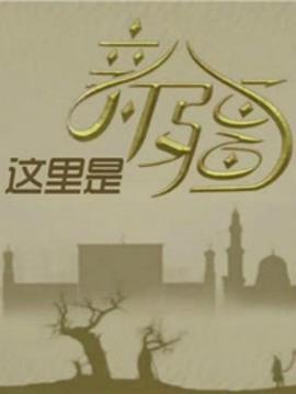 这里是新疆的海报