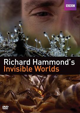 探索纪录片《理查德·哈蒙德：看不见的世界 Richard Hammond's Invisible Worlds》下载-零三纪录片资源网