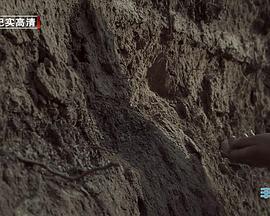 草原历史名城呼和浩特:丰州古城的海报