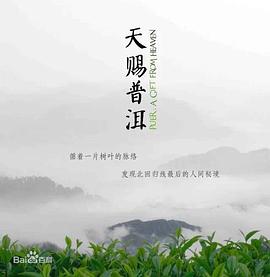 天赐普洱的海报