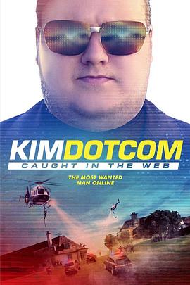 金宝:网络现形记 Kim Dotcom: Caught in the Web的海报