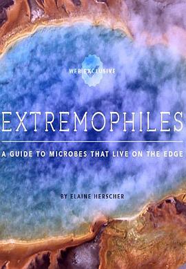 自然纪录片《地狱中的生命 Life in Hell－Extremophiles》下载-零三纪录片资源网