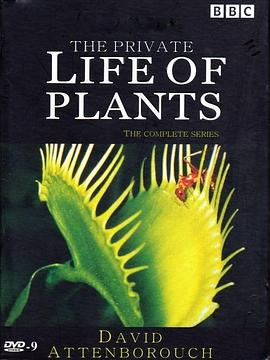 自然纪录片《植物私生活 The Private Life of Plants》下载-零三纪录片资源网