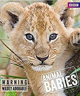 自然纪录片《动物宝宝 Animal Babies》下载-零三纪录片资源网