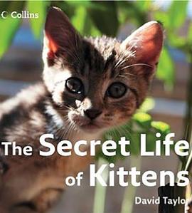 自然纪录片《小喵的秘密 第一季 The Secret Life of Kittens Season 1》下载-零三纪录片资源网
