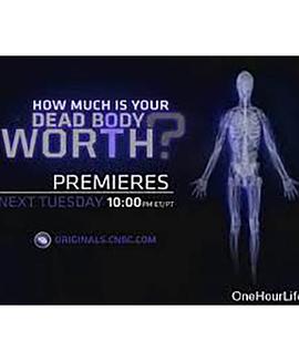探索纪录片《死尸的价值 BBC Horizon How Much Is Your Dead Body Worth》下载-零三纪录片资源网