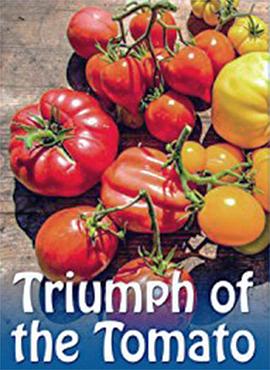 番茄的胜利的海报