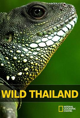 纪录片《野性泰国 Wild Thailand》下载-零三纪录片资源网