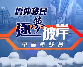 逐梦彼岸--中国新移民的海报