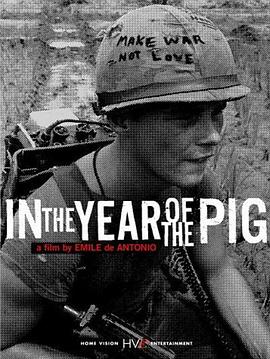 军事纪录片《猪年 In the Year of the Pig》下载-零三纪录片资源网