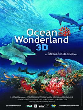 自然纪录片《海洋仙境 Ocean Wonderland》下载-零三纪录片资源网