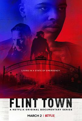 社会生活纪录片《弗林特警局 Flint Town》下载-零三纪录片资源网