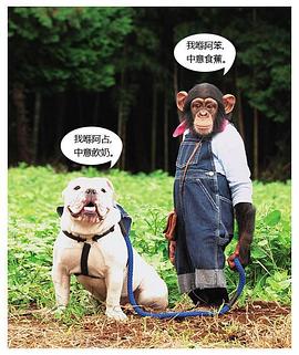 自然纪录片《阿笨与阿占 パン&ジェームズのおつかい大挑戦!》下载-零三纪录片资源网