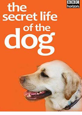 地平线系列:狗狗秘闻 Horizon: The Secret Life of the Dog的海报