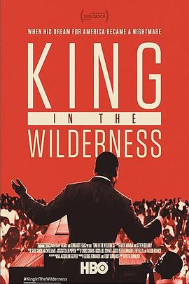 传记纪录片《在野之金 King in the Wilderness》下载-零三纪录片资源网