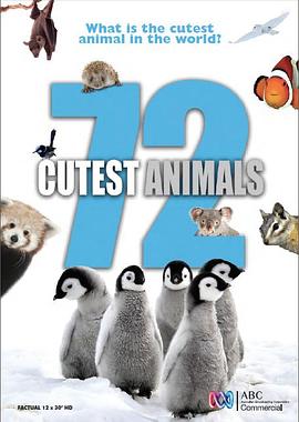 自然纪录片《72大可爱动物 72 Cutest Animals》下载-零三纪录片资源网