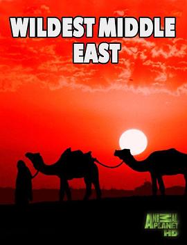 人文地理纪录片《中东野生大地 Wildest Middle East》下载-零三纪录片资源网