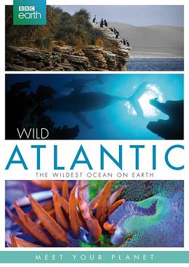 自然纪录片《大西洋：地球最狂野的海洋 Atlantic: The Wildest Ocean on Earth》下载-零三纪录片资源网
