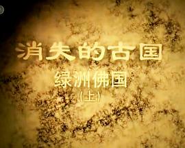 探索纪录片《消失的古国：绿洲佛国》下载-零三纪录片资源网