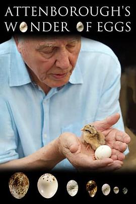 自然纪录片《大卫爱登堡：蛋的奇迹 Natural World: Attenborough's Wonder of Eggs》下载-零三纪录片资源网