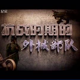 军事,历史纪录片《抗战时期的外械部队》下载-零三纪录片资源网