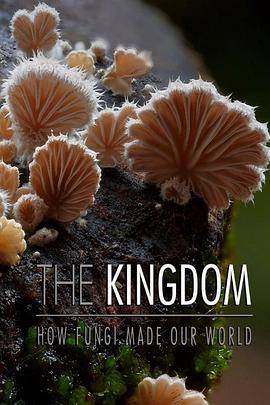自然纪录片《真菌王国 The Kingdom: How Fungi Made Our World》下载-零三纪录片资源网