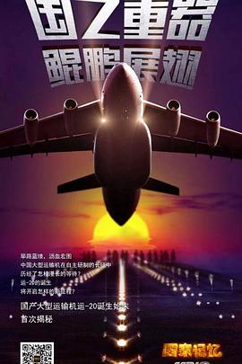 大国鲲鹏的海报