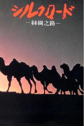 探索，历史纪录片《新丝绸之路 新シルクロード》下载-零三纪录片资源网