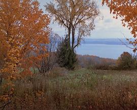 运动纪录片《飞行之梦 Ultimate G's》下载-零三纪录片资源网