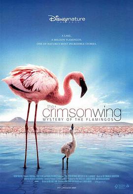 自然纪录片《红色翅膀：火烈鸟故事 The Crimson Wing: Mystery of the Flamingos》下载-零三纪录片资源网