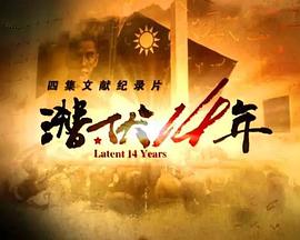 潜伏14年的海报