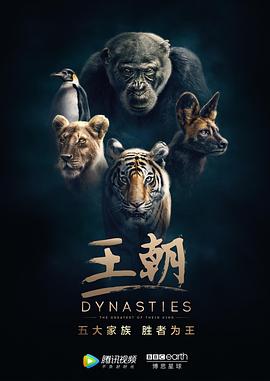 自然纪录片《王朝 第一季 Dynasties Season 1》下载-零三纪录片资源网