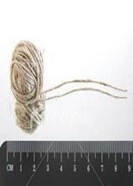 科学纪录片《地平线系列：一根绳子有多长？ Horizon: How Long Is a Piece of String?》下载-零三纪录片资源网