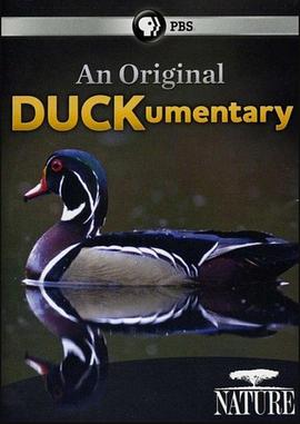 自然纪录片《鸭鸭世界 An Original DUCKumentary》下载-零三纪录片资源网