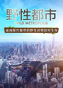 纪录片《野性都市 Wild Metropolis》下载-零三纪录片资源网