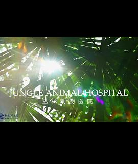 自然纪录片《BBC自然世界 丛林动物医院 Jungle Animal Hospital》下载-零三纪录片资源网